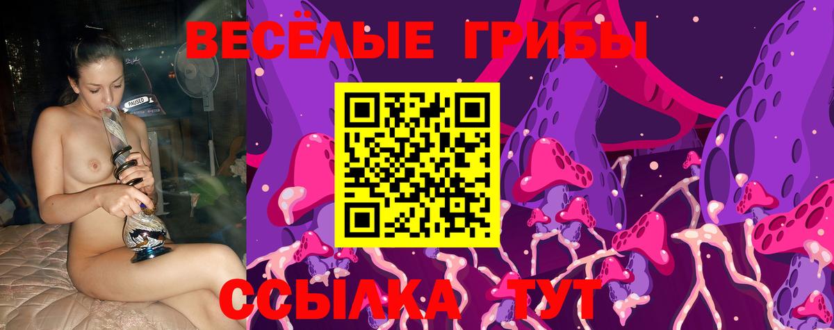 Галлюциногенные грибы мицелий  Галлюциногенные грибы ЛСД  Старая Купавна  Вход с VPN 
